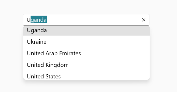 .NET MAUI Autocomplete